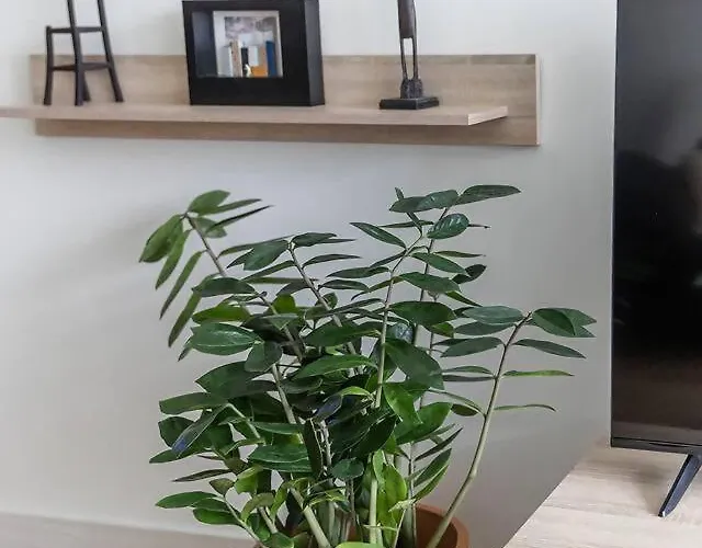 Espacioso A 9 Min Playa